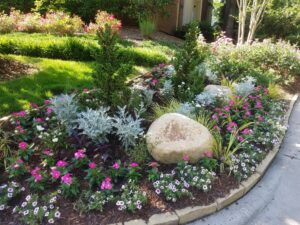Summer annual planting that includes pink vinca , dusty miller and white petunias