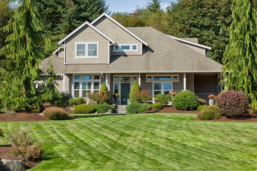 Professional lawn care services in Cary NC