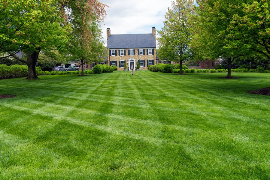 Lawn care services in Pittsboro NC