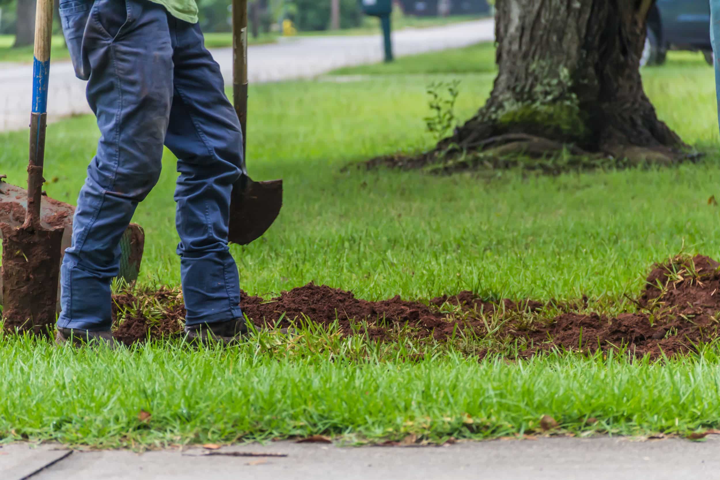 Bring Your Landscape Vision to Life with Arbor Landscape Group
