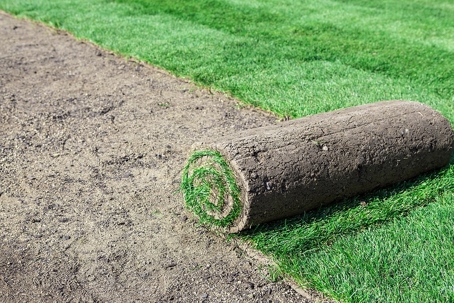 Sod Installation Guide: Best Grass Types for Clay Soil